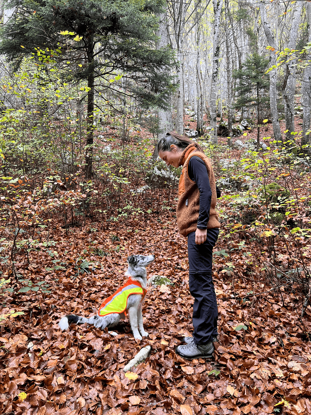 Charlotte - Hardguide